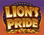 Lion`s Pride